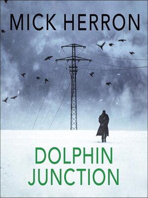 cover image of Dolphin Junction